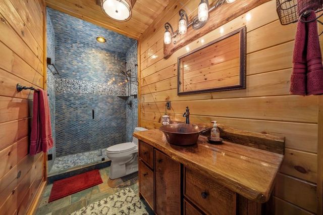247 Toccoa Overlook Drive, Blue Ridge, GA 30513