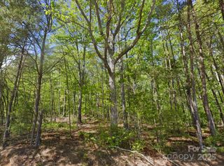 0 Pleasant Grove Road, Rutherfordton, NC 28139