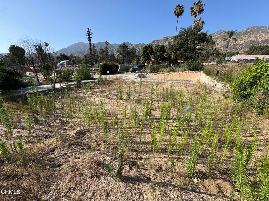 Image 2 of property listing at 3320 N Raymond Avenue, Altadena, CA 91001