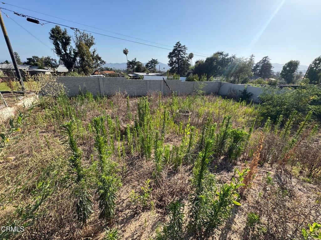 Image 7 of property listing at 3320 N Raymond Avenue, Altadena, CA 91001
