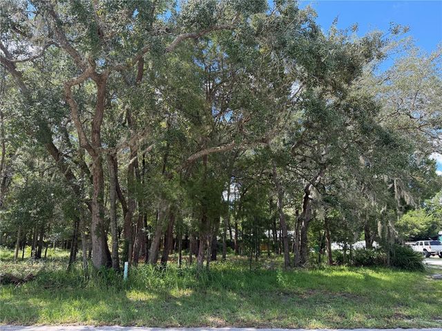 7457 W TURKEYNECK COURT, Homosassa, FL 34448