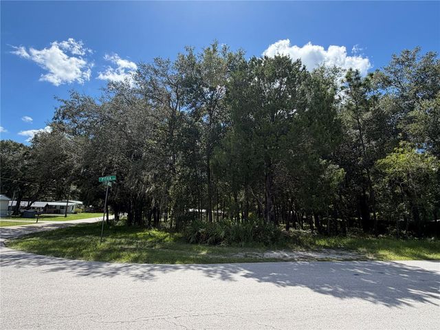 7457 W TURKEYNECK COURT, Homosassa, FL 34448