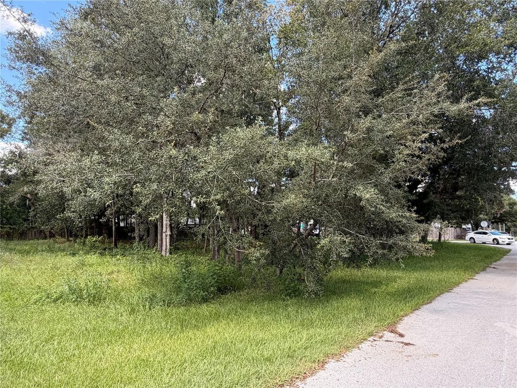 7457 W TURKEYNECK COURT, Homosassa, FL 34448