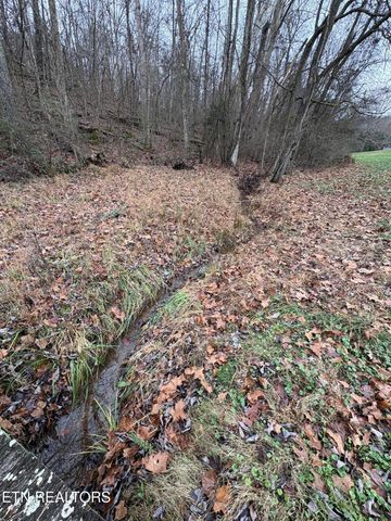 0 Old Buck Creek Rd, Kingston, TN 37763