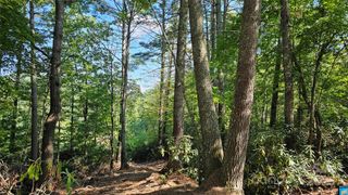 Lot 6 Rosewood Lane 6, Burnsville, NC 28714
