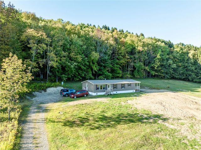 7545 Charlotte Creek Road, Davenport, NY 13750