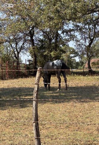 5908 County Road 608, Burleson, TX 76028