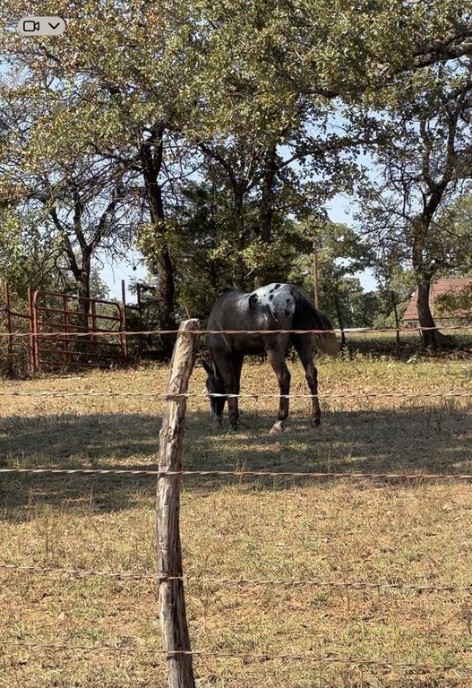 5908 County Road 608, Burleson, TX 76028 — photo 3