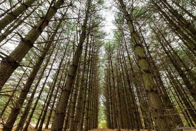 5750 Messenger Highway, Olivet, MI 49076