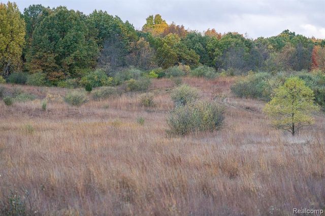 5750 Messenger Highway, Olivet, MI 49076