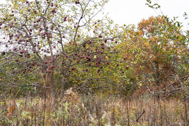 5750 Messenger Highway, Olivet, MI 49076