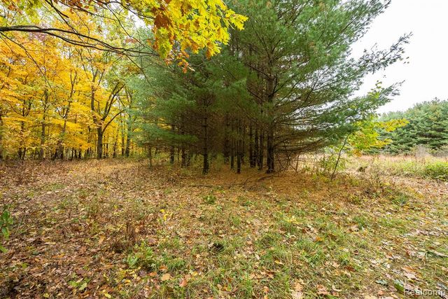 5750 Messenger Highway, Olivet, MI 49076