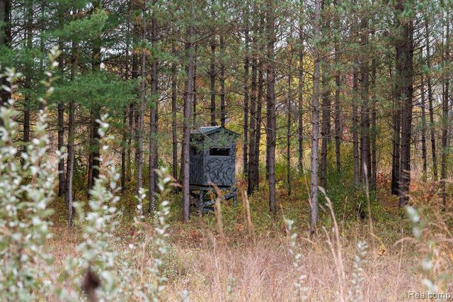 5750 Messenger Highway, Olivet, MI 49076