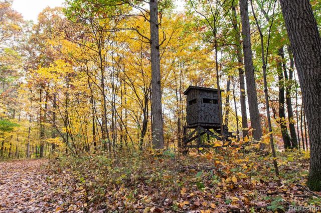 5750 Messenger Highway, Olivet, MI 49076