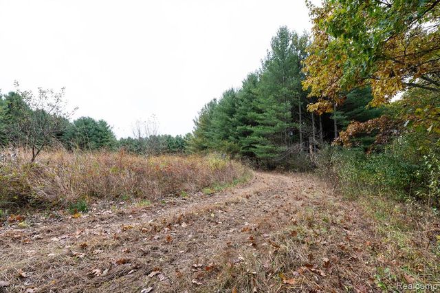 5750 Messenger Highway, Olivet, MI 49076