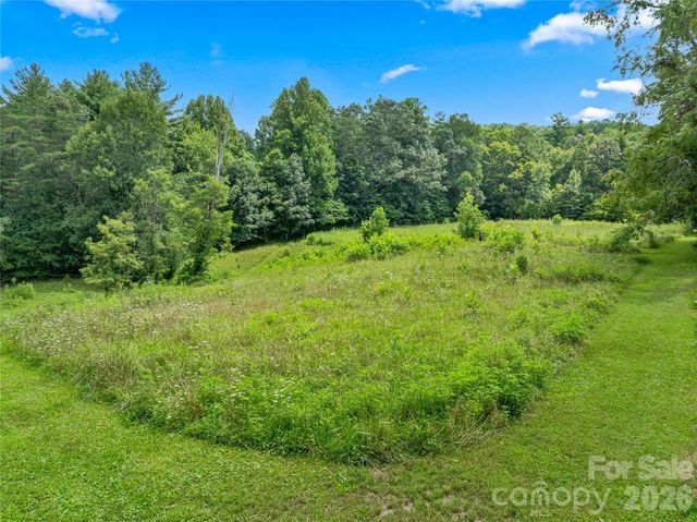 117 Woods View Trail, Fairview, NC 28730