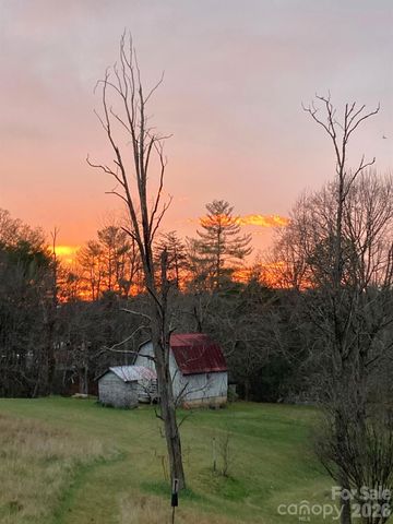 117 Woods View Trail, Fairview, NC 28730