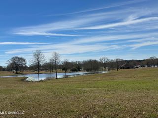 Northern Exposure Road, Poplarville, MS 39470