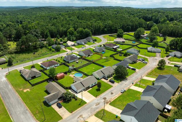 18459 THOROUGHBRED DRIVE, Vance, AL 35490