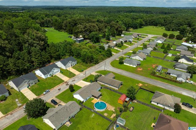 18459 THOROUGHBRED DRIVE, Vance, AL 35490