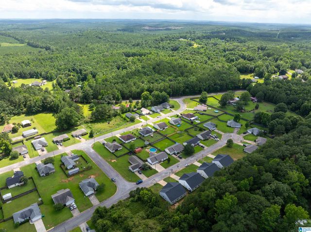 18459 THOROUGHBRED DRIVE, Vance, AL 35490