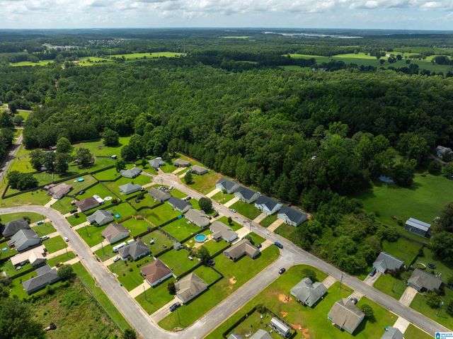 18459 THOROUGHBRED DRIVE, Vance, AL 35490