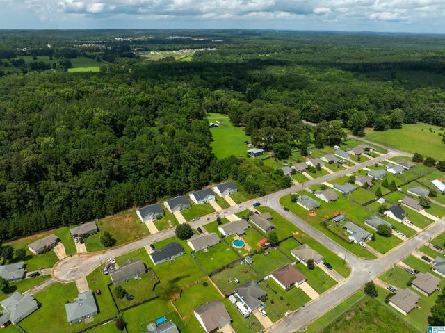 18459 THOROUGHBRED DRIVE, Vance, AL 35490