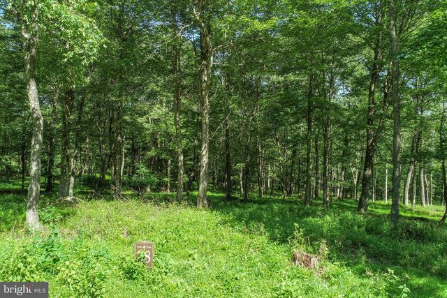 LOT 38 WINDING ESTATES DR, Mc Henry, MD 21541