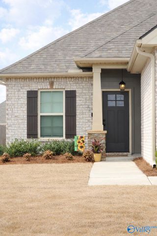 24414 Bekah Lane, Toney, AL 35773