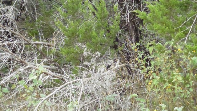 K12034 Stampede ST, Horseshoe Bay, TX 78657