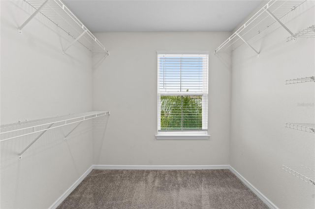 20602 MONZA LOOP, Land O Lakes, FL 34638