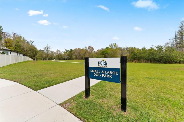 20602 MONZA LOOP, Land O Lakes, FL 34638