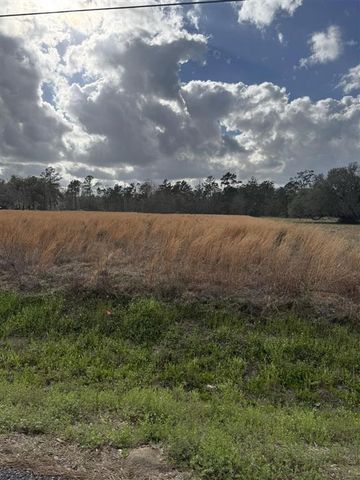0 Choupique Road, Sulphur, LA 70665