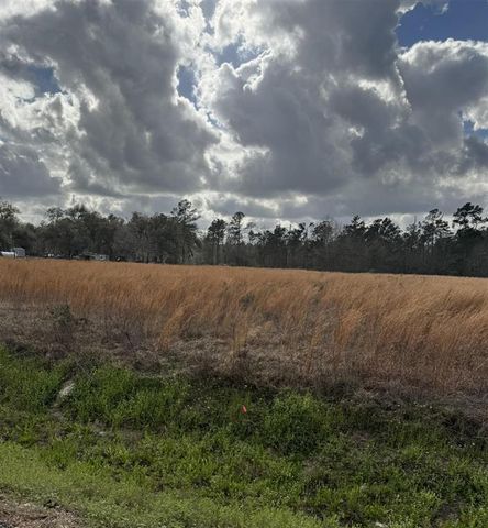 0 Choupique Road, Sulphur, LA 70665