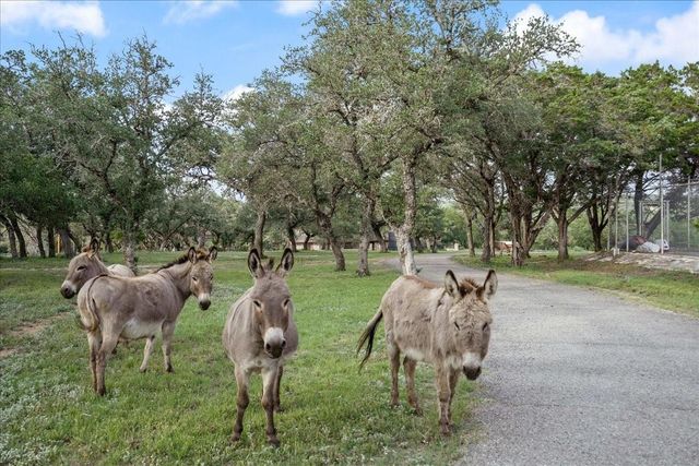 24900 Pedernales Canyon TRL, Spicewood, TX 78669