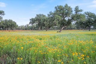 24900 Pedernales Canyon TRL, Spicewood, TX 78669