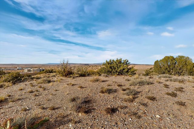 Brazos Trail, Placitas, NM 87043