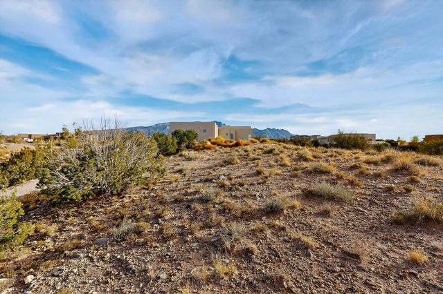 Brazos Trail, Placitas, NM 87043