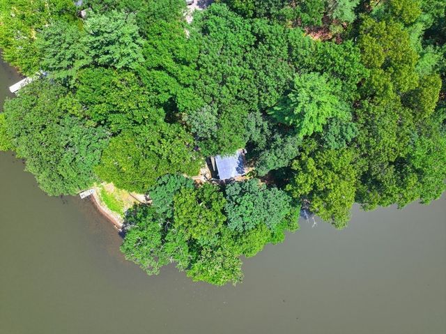 20 Litchfield Ave, Norfolk, MA 02056