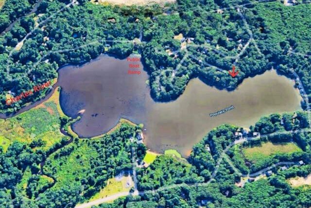 20 Litchfield Ave, Norfolk, MA 02056