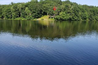 20 Litchfield Ave, Norfolk, MA 02056