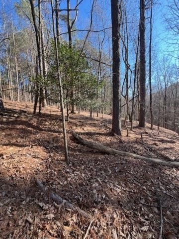 LOT 36R Lakeview Lane, Ellijay, GA 30536