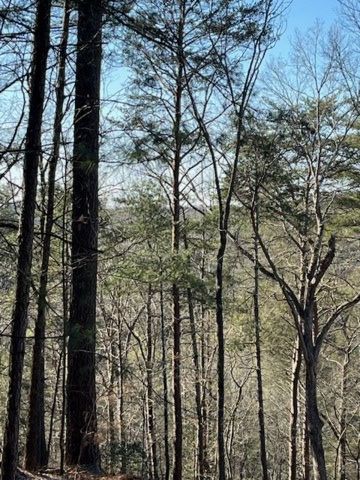 LOT 36R Lakeview Lane, Ellijay, GA 30536