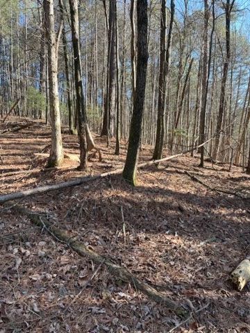 LOT 36R Lakeview Lane, Ellijay, GA 30536