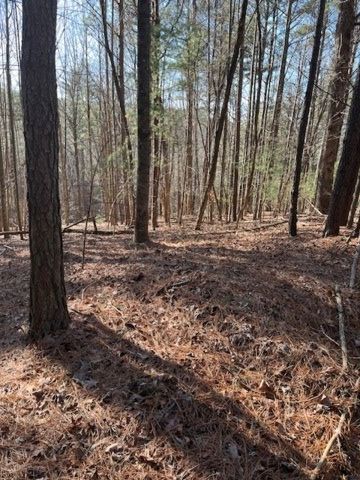 LOT 36R Lakeview Lane, Ellijay, GA 30536