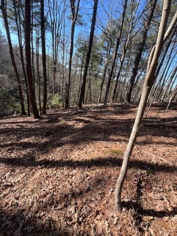 LOT 36R Lakeview Lane, Ellijay, GA 30536