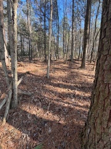 LOT 36R Lakeview Lane, Ellijay, GA 30536