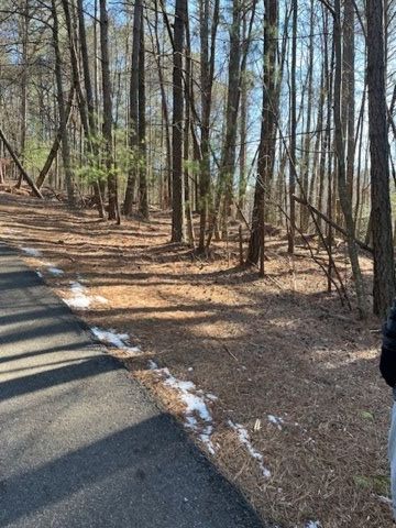 LOT 36R Lakeview Lane, Ellijay, GA 30536