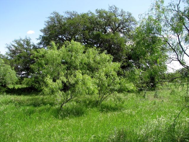 6630 Fm 183, Evant, TX 76525