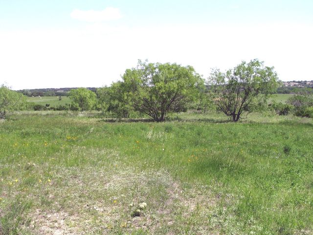 6630 Fm 183, Evant, TX 76525